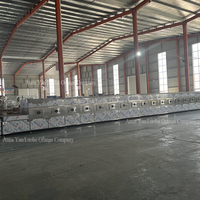 Automatische industriële magnetron droogmachine voor het drogen van insecten, larven, meelwormen en larven, 10-300 kW.