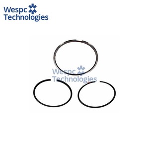 Segment de piston WESPC 4181A106 pour moteur diesel Perkins 1004 1006, tracteur, générateur, engins de construction, pièce de rechange - Product Image 3