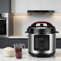 Autocuiseur Électrique Intelligent Portable de Haute Qualité 5L 6L en Acier Inoxydable Multifonctionnel avec Écran LED et Tasse de Mesure