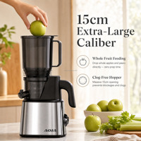 Extracteur de jus à froid à haut rendement, moteur DC 250W 60 tr/min, goulotte large de 15 cm, couvercle en maille d'acier inoxydable, extracteur de jus et de pulpe sèche