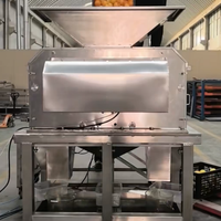 Presse-agrumes automatique à moitié coupée, extracteur de jus, contrôlé par PLC, faible bruit, pour ligne de production de jus d'orange, de citron et de pamplemousse