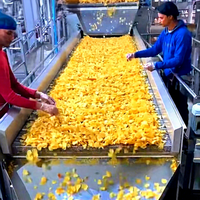 CE-gecertificeerd aardappelchipsverwerkingsysteem voor aardappelchips met kaassmaak, inclusief automatische smaakversteviging en verticale verpakkingsmachine