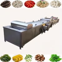 Automatische temperatuurregeling fruit- en groenteverblanckingsmachine sterilisatie kleurbescherming bleek- en strijkmachine