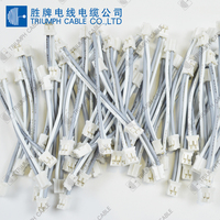 Berkualitas Tinggi Kawat Listrik 2 Pin Konektor Harness Cable Assembly untuk Otomotif Mobil Kabel