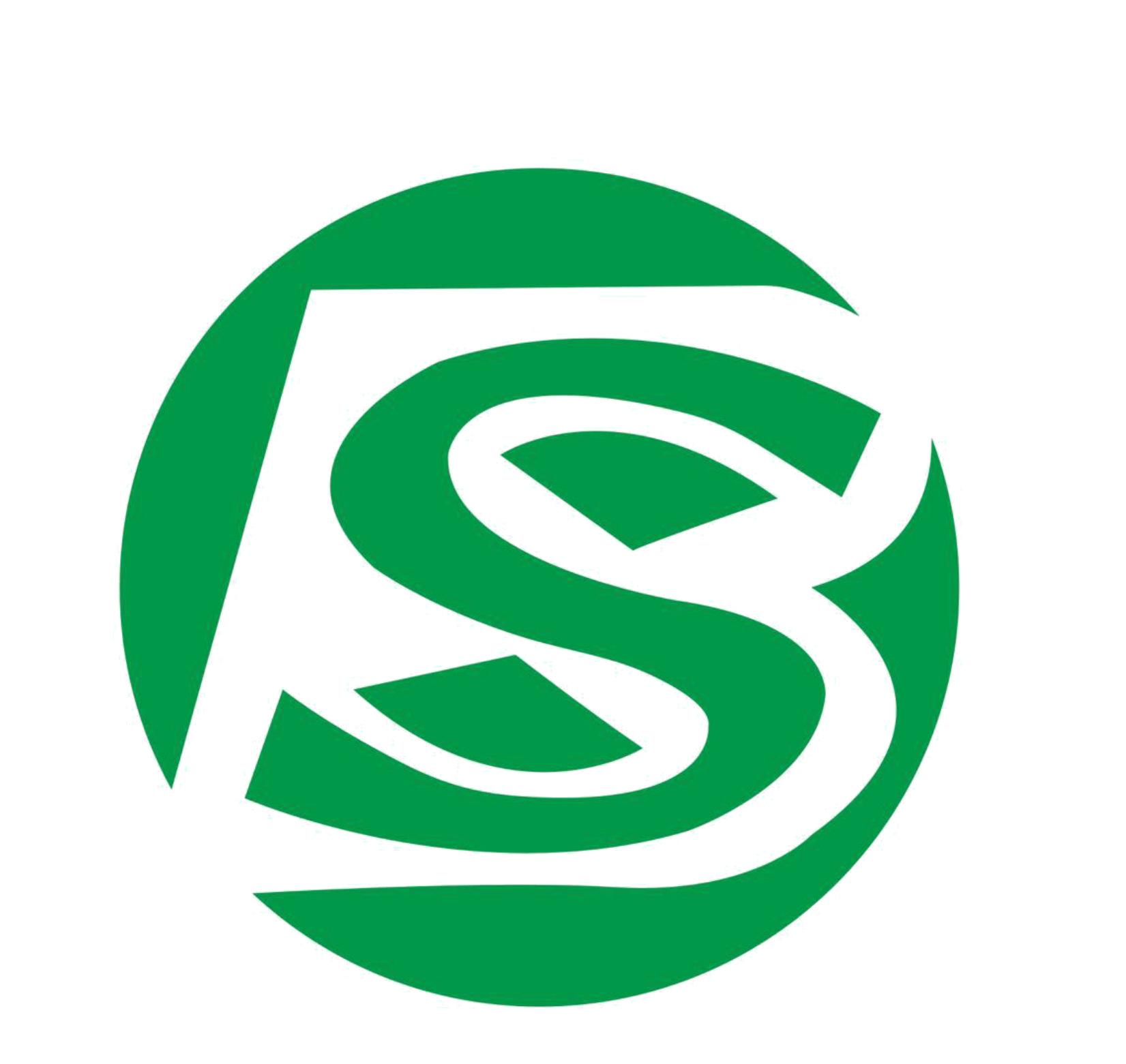 Linyi Bisheng Packaging Co., Ltd. logo