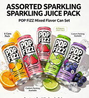 HACCP-gecertificeerd, op maat gemaakte eigen private label Konjac Jelly Juice Cocktail 5,5% ABV 330ml blikverpakking, kant-en-klaar drankje