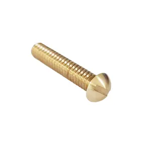 Dome head with slotted drives brass screw