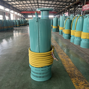 Pompe submersible anti-explosion de type isolation série BQS, haute protection IP68 pour l'industrie minière - Product Image 2