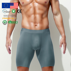 Caleçons longs pour hommes en modal vert sauge, vente en gros, tissu lisse, confort quotidien, ajustement parfait, slips et boxers pour hommes - Product Image 2