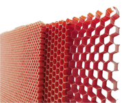 Noyau en nid d'abeille en aramide à faible dielectricité 48 kg/m³ – Noyau hexagonal transparent haute fréquence pour couverture d'antenne radôme communication 5G