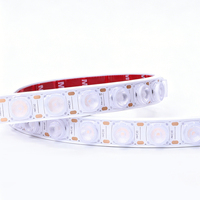 Bande LED Flexible en Cuivre 24V 24W de Qualité Industrielle, Étanche pour Extérieur, Haute Réalité des Couleurs (CRI 90), Plusieurs Couleurs Disponibles pour Aménagement Paysager