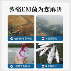 Bacterias Concentradas Yu Yao para Estanques de Acuicultura, Bacillus Subtilis, Acondicionador de Agua y Fertilizante para el Fondo - Product Image 3