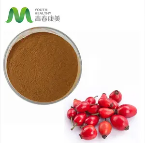 Sost Oversea Warehouse Direct Supply Wholesale Food Grade 10:1 Rosehip Extract