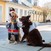 Costume de requin personnalisé pour petits chiens, idéal pour le 1er anniversaire des animaux, la Journée nationale du chat et les célébrations d'Halloween, tenue de cosplay pour fêtes