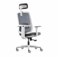 Support direct usine pour la personnalisation, la configuration et la couleur. Chaises de bureau ergonomiques, chaises de direction et chaises d'étude.