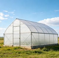 Serre agricole et commerciale pour tomates 30x8m en promotion en Pologne