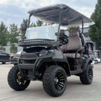 Voiturette de golf électrique certifiée CE de haute qualité Sièges confortables Batterie de buggy extérieure Produit en nouvel état
