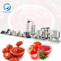 Industriële tomatensausmachine, kleine tomatenpuree-installatie, ketchup productielijn, China