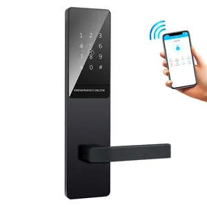 smart phone control app lock ,ble TT door lock for hotel