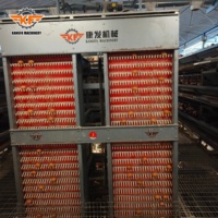 Nouvelle Vente Directe Usine : Système Automatique de Collecte d'Œufs Type H, 4 Niveaux, Cages en Batterie pour Volailles en Acier Galvanisé à Chaud, Garantie 5 Ans