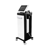 Vétérinaire utiliser la thérapie physique par ondes de choc électromagnétiques Eswt Machine de thérapie par ondes de choc focalisées pour ED