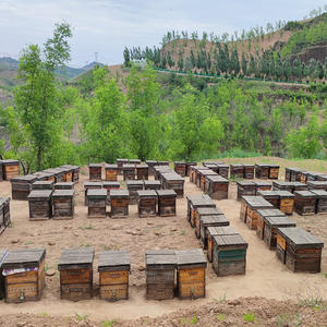 Jumlah besar organik sirup Maltose penyedap beras fruktosa barang panggang susu Maltose penstabil penebalan bahan tambahan makanan - Product Image 4