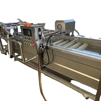 Commerciële Industriële 304 Roestvrijstalen Bubbelwasmachine Voor Het Reinigen Van Groenten En Fruit