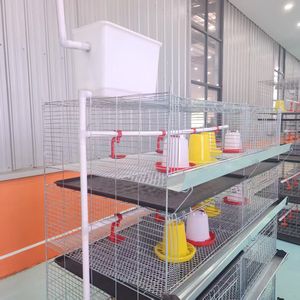 Petite cage à poulets bon marché Conception de système agricole de prévention de la rouille Couveuse de volaille à batterie Cage à poulets <span class=keywords><strong>Équipement</strong></span> agricole - Product Image 2