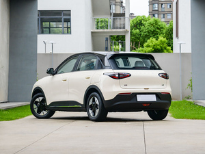 2025年モデル真新しいスターウィッシュXingyuan新エネルギー電気自動車30kWhバッテリーと100km範囲 - Product Image 3