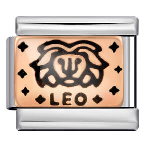 Colgante Rectangular de Acero Inoxidable con Baño de Oro y Esmalte, Amuleto del Zodíaco <span class=keywords><strong>Capricornio</strong></span>, Componentes de Joyería DIY para Pulseras de Astrología al por Mayor - Product Image 5