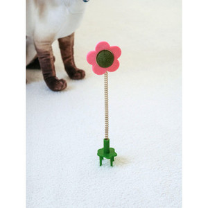 Caramelle di erba gatta interattive per gatti incoraggia il movimento e graffiare il giocattolo per animali domestici - Product Image 1
