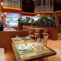 Ensemble table et chaises de restaurant commercial moderne en bois massif écologique, structure métallique, sièges en mousse haute densité, garantie 3 ans