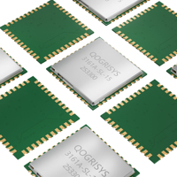 Módulo Wifi 2.4G de Bajo Consumo y Bajo Costo con Hisilicon Hi3861 para Cámaras IP de Bajo Consumo