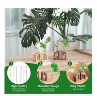 Ivolador marron hydroponique plantation panier bois écologique Art décor forme irrégulière maison bureau planteur Pots de fleurs jardinières