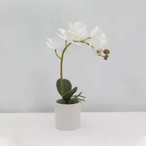 Commercio all'ingrosso Home Decor artificiale vero tocco farfalla orchidea fiore in vaso artificiale Phalaenopsis orchidea pianta con vaso