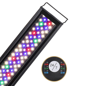 3 modèles de mini <span class=keywords><strong>aquarium</strong></span> en acrylique éclairage LED ornements d'<span class=keywords><strong>aquarium</strong></span> plantes aquatiques blanc <span class=keywords><strong>bleu</strong></span> couleur métal matériel - Product Image 2