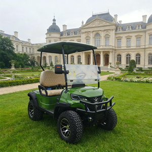 Voiturette de golf 6 places 60V 3.5kW avec moteur AC de marque et fonction antidérapante, véhicule électrique, ambulance, voiturette de golf - Product Image 1