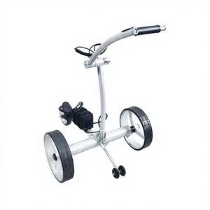 Proveedor de Carritos de Golf Eléctricos - Product Image 1