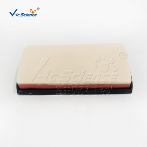 Módulo de entrenamiento para sutura de heridas en forma de arco, resistente a perforaciones y reutilizable, herramienta de enseñanza para el entrenamiento de habilidades de estudiantes de medicina. - Product Image 4