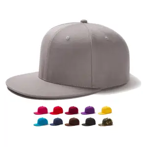 Wholesale OEM Adult Unisex Blank Plain Custom Embroidery Logo Hip Hop Street Boy Snapback Cap Hat
