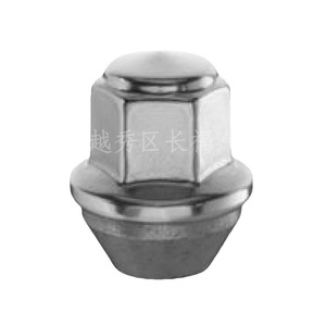 Tuercas de Rueda ACP ACPA1012JXA para Ford Edge 2015, Tuercas de Acero - Product Image 1