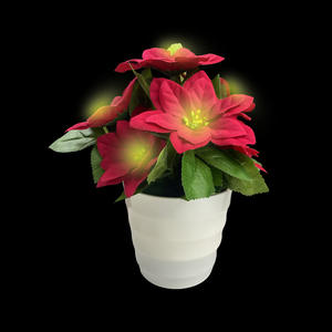 LED luminescente cinese rosso <span class=keywords><strong>Poinsettia</strong></span> <span class=keywords><strong>Bonsai</strong></span> vetrato da soggiorno Desktop luce notturna simulazione pianta in vaso verde transfrontaliera - Product Image 2