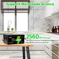 Batterie Lifepo4 Swalle BMS 12V 100Ah/200Ah/300Ah à décharge profonde, 6000 cycles, garantie 5 ans, stock UE, pour système d'énergie solaire marine et domestique