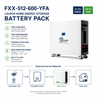 Batería de Almacenamiento de Energía para el Hogar Fuxile LiFePO4 51.2V 600Ah 30.72kWh con BMS Inteligente, Máximo 16 Unidades en Paralelo, Respaldo Solar