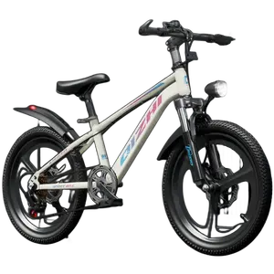 จักรยานสำหรับเด็ก, จักรยานสำหรับฝึกความเร็วตัวแปร20 "รถนักเรียน22" 24 "จักรยานเสือภูเขาจักรยานเด็ก