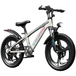 Kindertrainingsfiets Met Variabele Snelheid Fiets 20 "Studentenauto 22" 24 "Mountainbike Kinderfiets