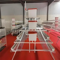 Système de cage à batterie de type A durable pour poules pondeuses |   Solution économique pour les fermes africaines