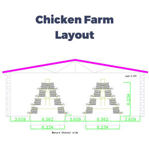 Jaula de batería tipo A de 4 niveles para 1000 gallinas ponedoras, para granja avícola, cría de animales, jaula para gallinas ponedoras en venta - Product Image 6