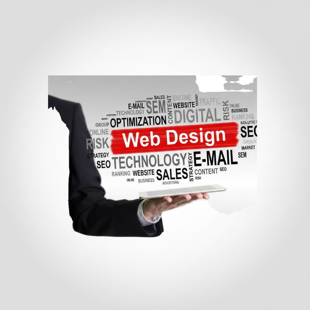 Professional Website Designing Services by Professional Website Designers Development and E Commerce Website