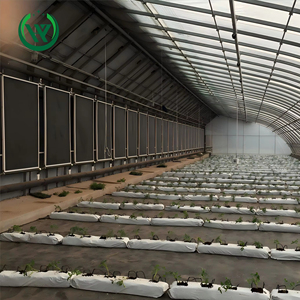 Hoàn Thành Nông Nghiệp Nhà Kính Khung Năng Lượng Mặt Trời Nhà Ấm Cho Trồng Rau Chi Phí Thấp Nhựa Nhà Kính Đường Hầm - Product Image 1